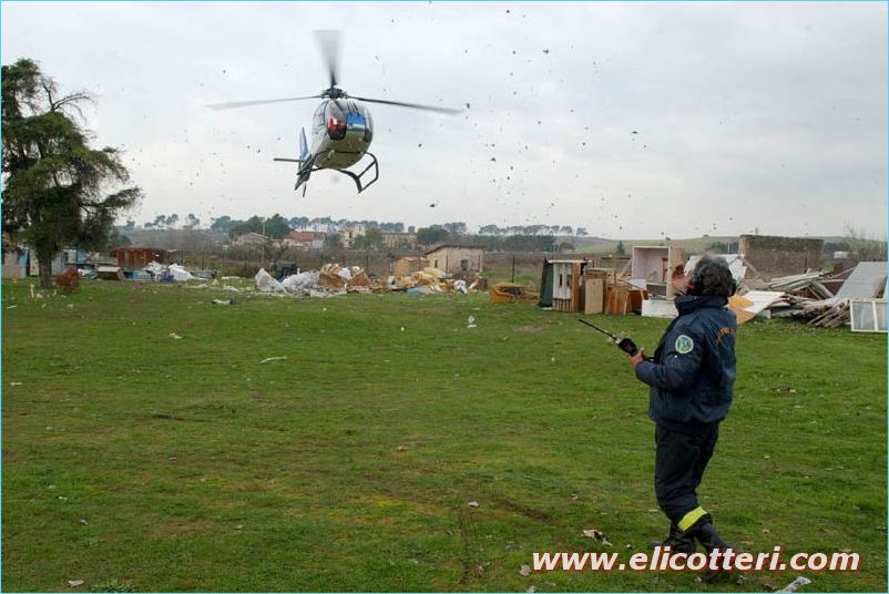 elifoto (18)